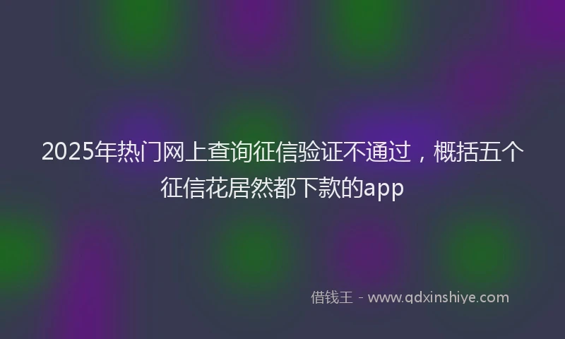 2025年热门网上查询征信验证不通过，概括五个征信花居然都下款的app