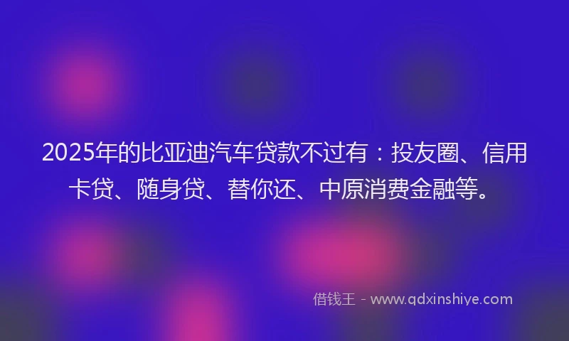 2025年的比亚迪汽车贷款不过有：投友圈、信用卡贷、随身贷、替你还、中原消费金融等。