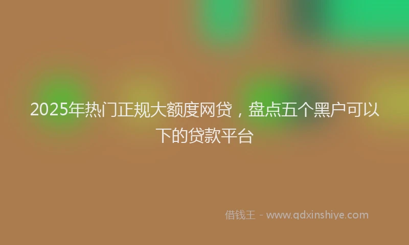 2025年热门正规大额度网贷，盘点五个黑户可以下的贷款平台