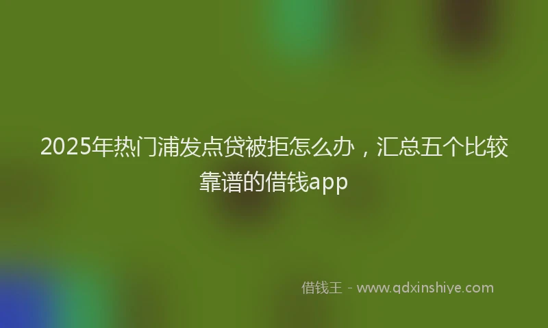 2025年热门浦发点贷被拒怎么办，汇总五个比较靠谱的借钱app