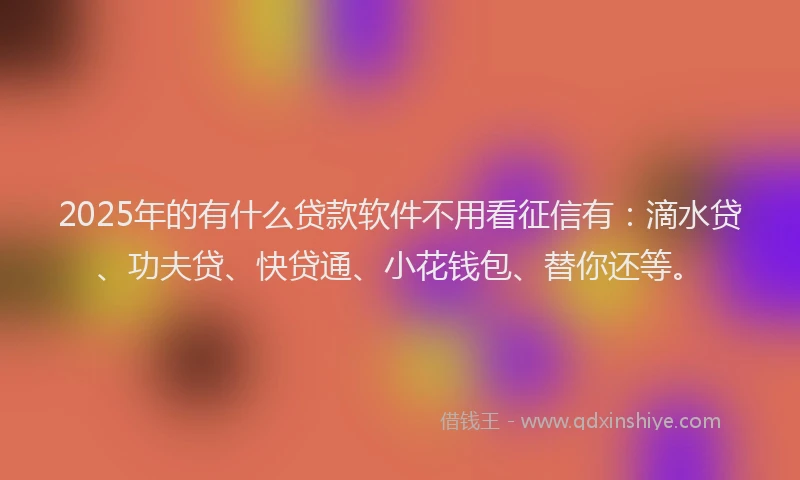 2025年的有什么贷款软件不用看征信有：滴水贷、功夫贷、快贷通、小花钱包、替你还等。