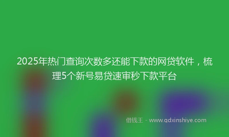 2025年热门查询次数多还能下款的网贷软件，梳理5个新号易贷速审秒下款平台