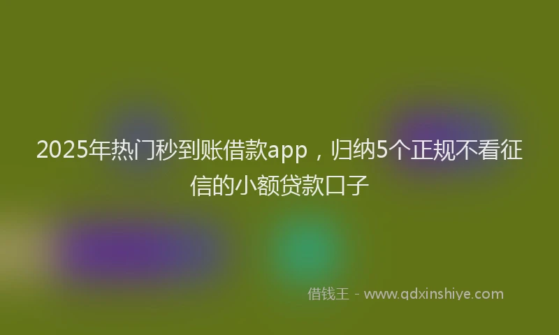 2025年热门秒到账借款app，归纳5个正规不看征信的小额贷款口子