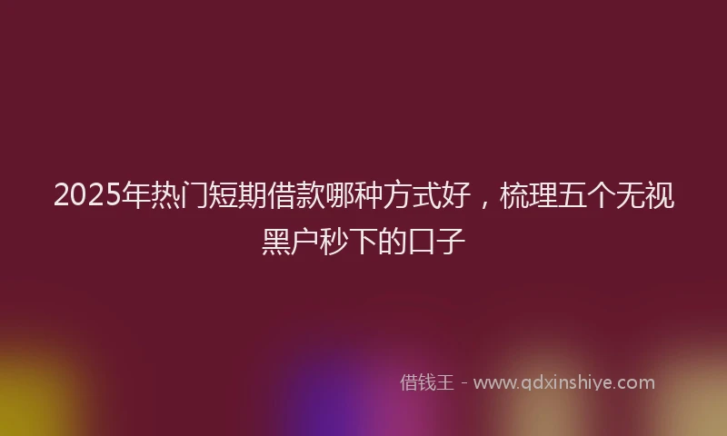 2025年热门短期借款哪种方式好，梳理五个无视黑户秒下的口子