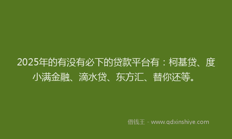 2025年的有没有必下的贷款平台有：柯基贷、度小满金融、滴水贷、东方汇、替你还等。