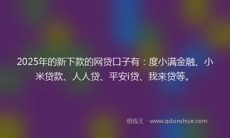 2025年的新下款的网贷口子有：度小满金融、小米贷款、人人贷、平安i贷、我来贷等。