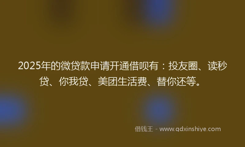 2025年的微贷款申请开通借呗有：投友圈、读秒贷、你我贷、美团生活费、替你还等。