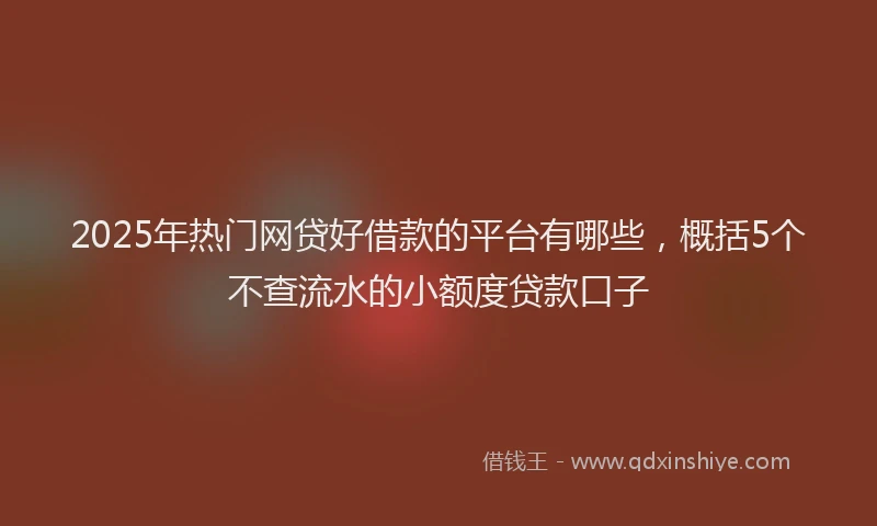 2025年热门网贷好借款的平台有哪些，概括5个不查流水的小额度贷款口子