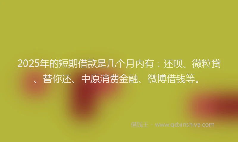 2025年的短期借款是几个月内有：还呗、微粒贷、替你还、中原消费金融、微博借钱等。