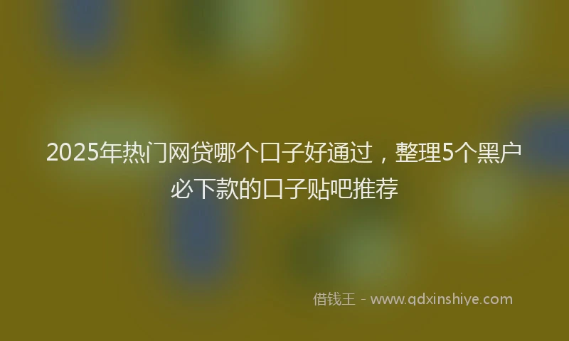 2025年热门网贷哪个口子好通过，整理5个黑户必下款的口子贴吧推荐