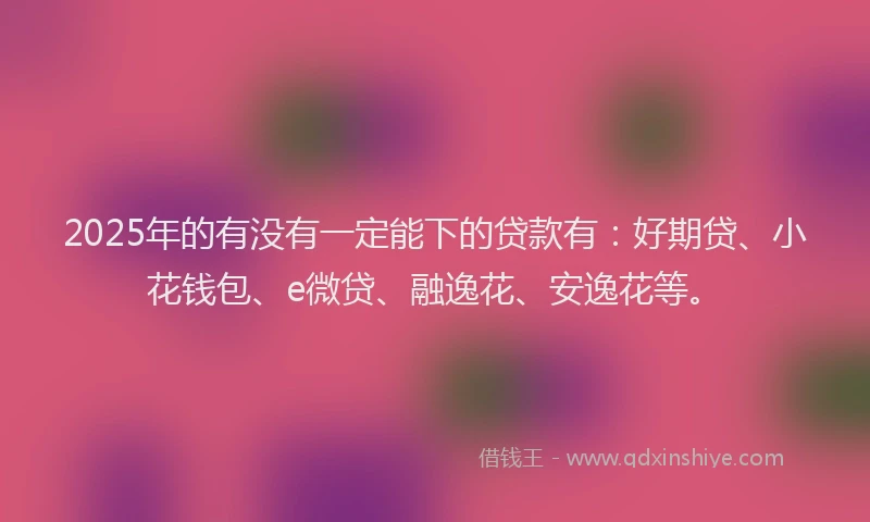 2025年的有没有一定能下的贷款有：好期贷、小花钱包、e微贷、融逸花、安逸花等。