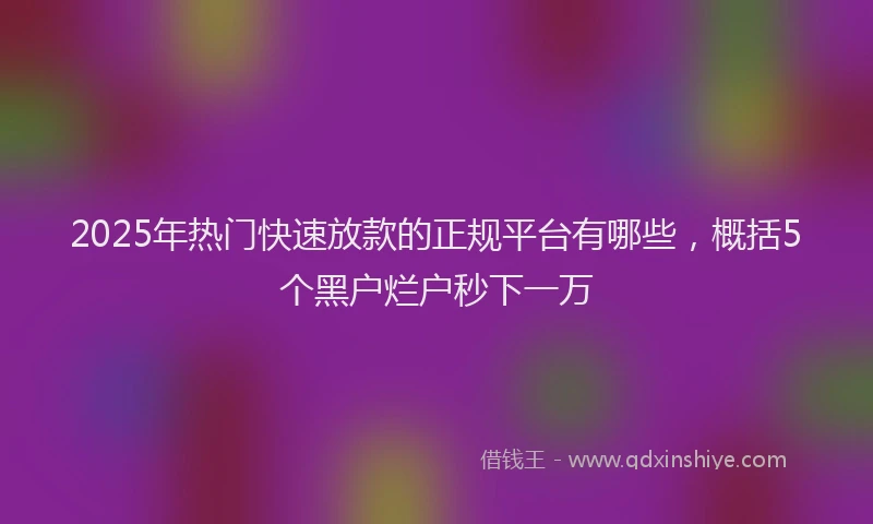 2025年热门快速放款的正规平台有哪些，概括5个黑户烂户秒下一万