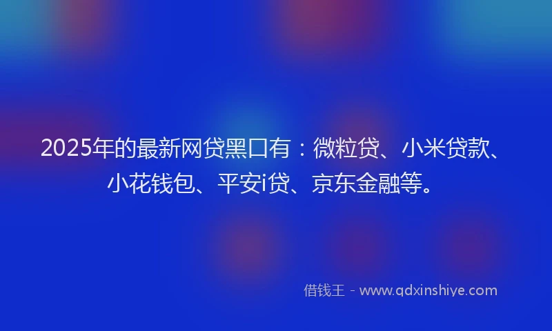 2025年的最新网贷黑口有：微粒贷、小米贷款、小花钱包、平安i贷、京东金融等。