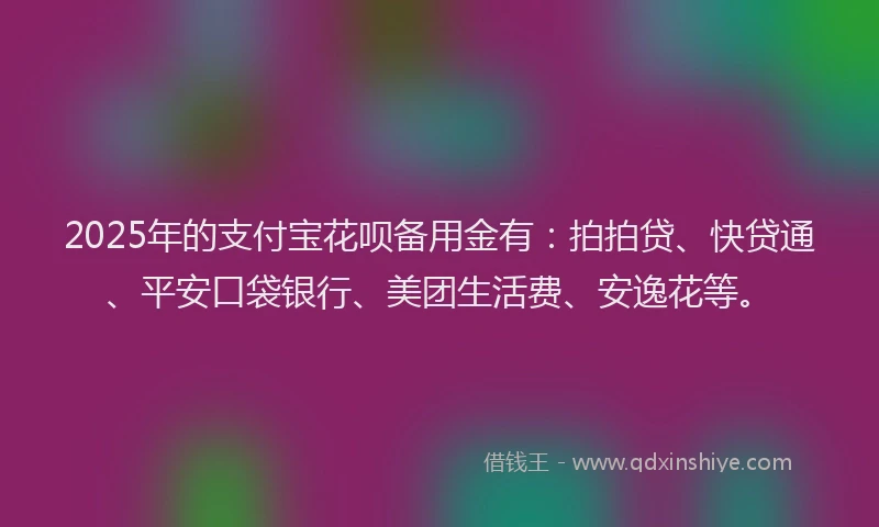 2025年的支付宝花呗备用金有：拍拍贷、快贷通、平安口袋银行、美团生活费、安逸花等。