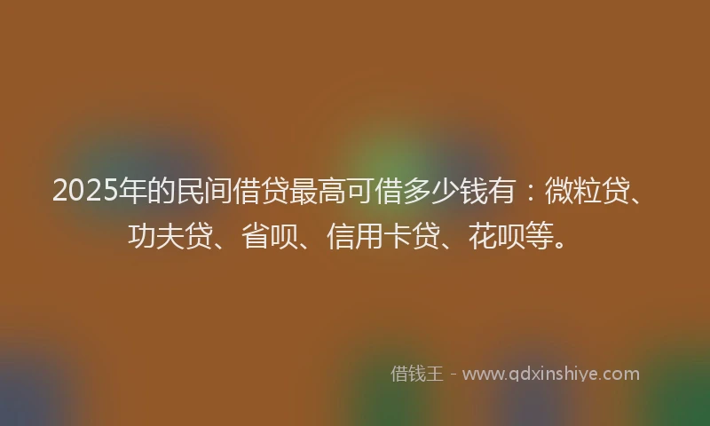 2025年的民间借贷最高可借多少钱有：微粒贷、功夫贷、省呗、信用卡贷、花呗等。