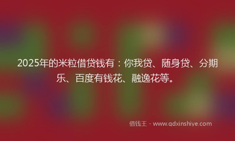 2025年的米粒借贷钱有：你我贷、随身贷、分期乐、百度有钱花、融逸花等。