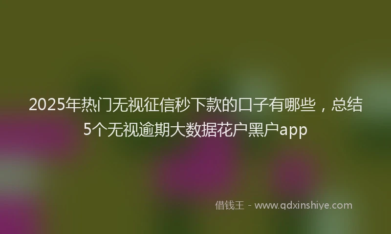 2025年热门无视征信秒下款的口子有哪些，总结5个无视逾期大数据花户黑户app