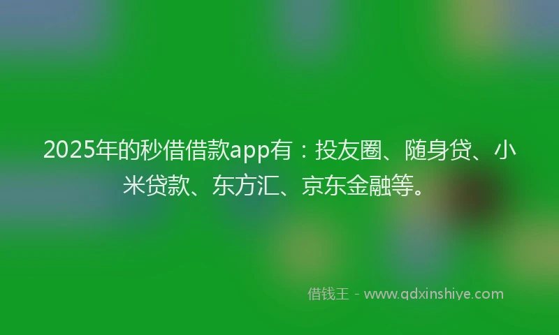 2025年的秒借借款app有：投友圈、随身贷、小米贷款、东方汇、京东金融等。