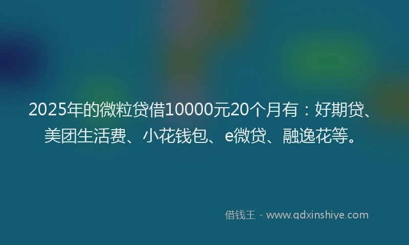2025年的微粒贷借10000元20个月有：好期贷、美团生活费、小花钱包、e微贷、融逸花等。