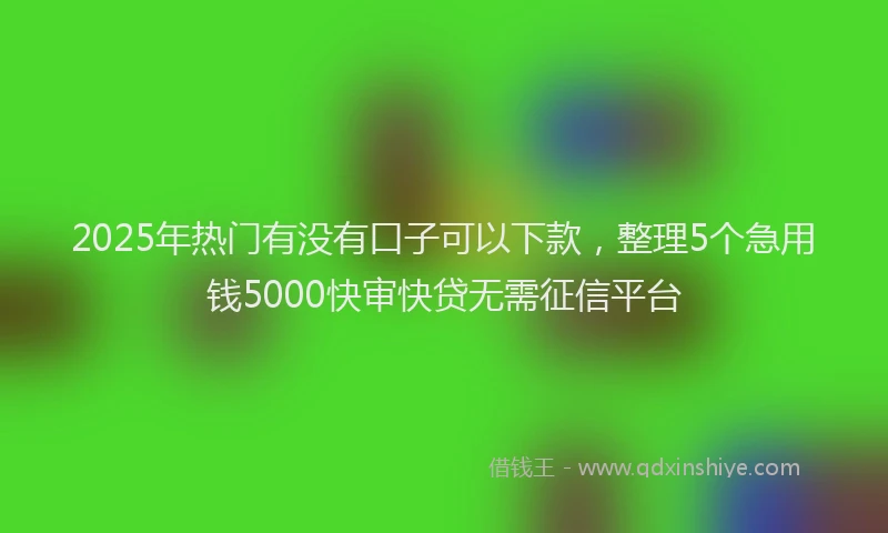 2025年热门有没有口子可以下款，整理5个急用钱5000快审快贷无需征信平台
