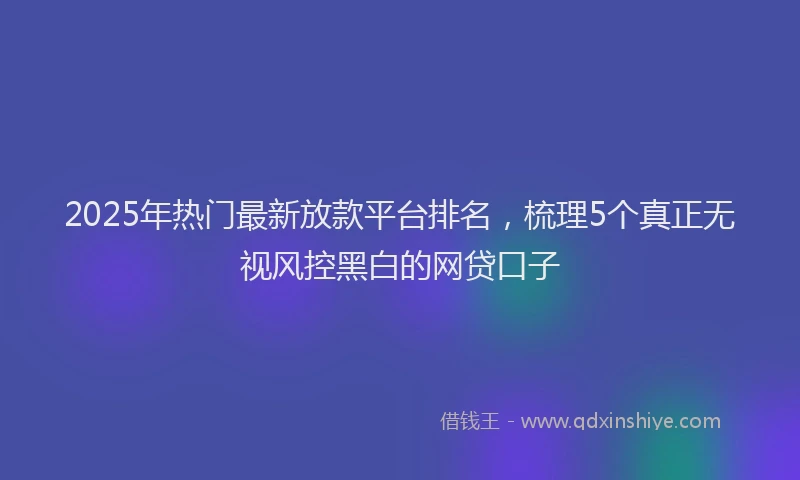 2025年热门最新放款平台排名，梳理5个真正无视风控黑白的网贷口子