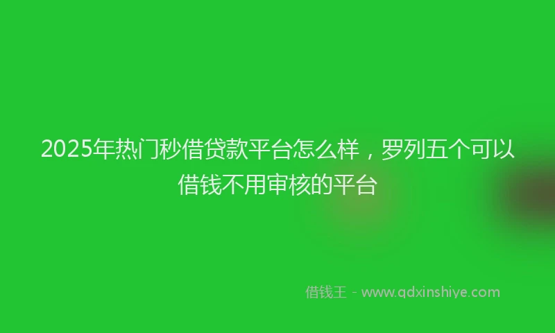 2025年热门秒借贷款平台怎么样，罗列五个可以借钱不用审核的平台