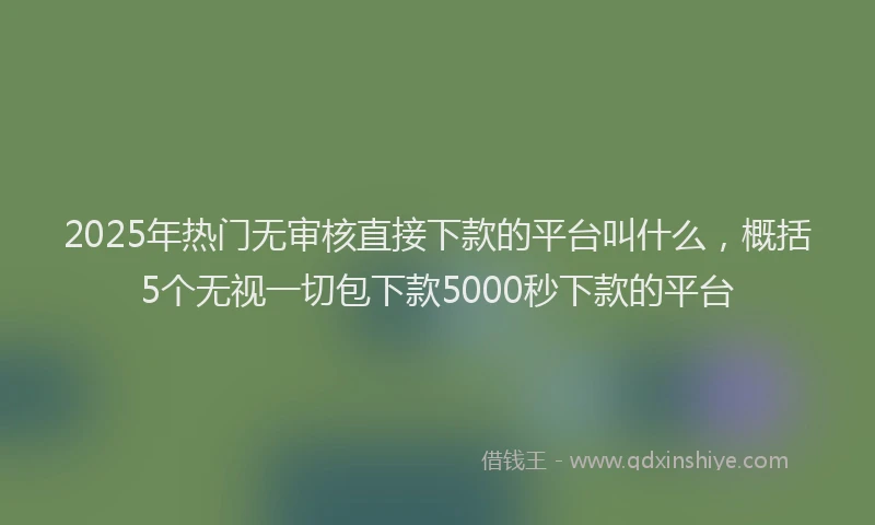 2025年热门无审核直接下款的平台叫什么，概括5个无视一切包下款5000秒下款的平台