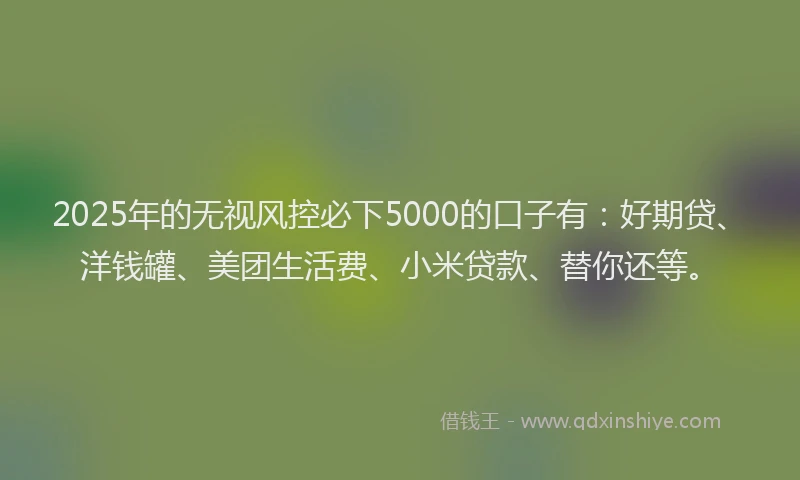 2025年的无视风控必下5000的口子有：好期贷、洋钱罐、美团生活费、小米贷款、替你还等。