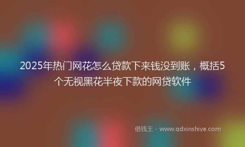 2025年热门网花怎么贷款下来钱没到账，概括5个无视黑花半夜下款的网贷软件