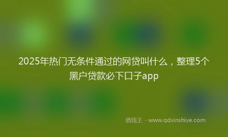 2025年热门无条件通过的网贷叫什么，整理5个黑户贷款必下口子app