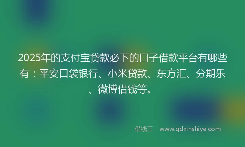 2025年的支付宝贷款必下的口子借款平台有哪些有：平安口袋银行、小米贷款、东方汇、分期乐、微博借钱等。