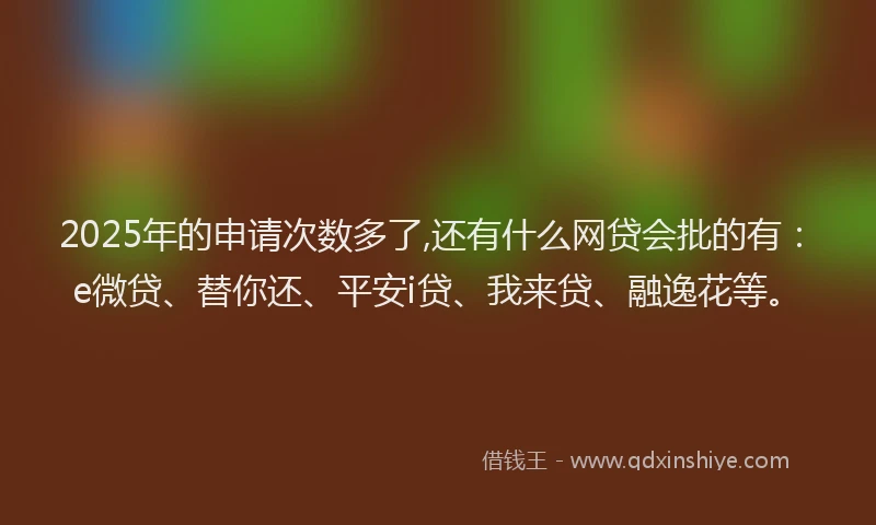 2025年的申请次数多了,还有什么网贷会批的有：e微贷、替你还、平安i贷、我来贷、融逸花等。
