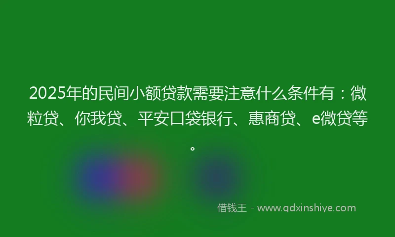 2025年的民间小额贷款需要注意什么条件有：微粒贷、你我贷、平安口袋银行、惠商贷、e微贷等。