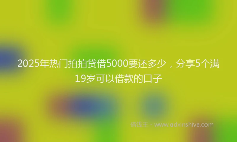 2025年热门拍拍贷借5000要还多少，分享5个满19岁可以借款的口子