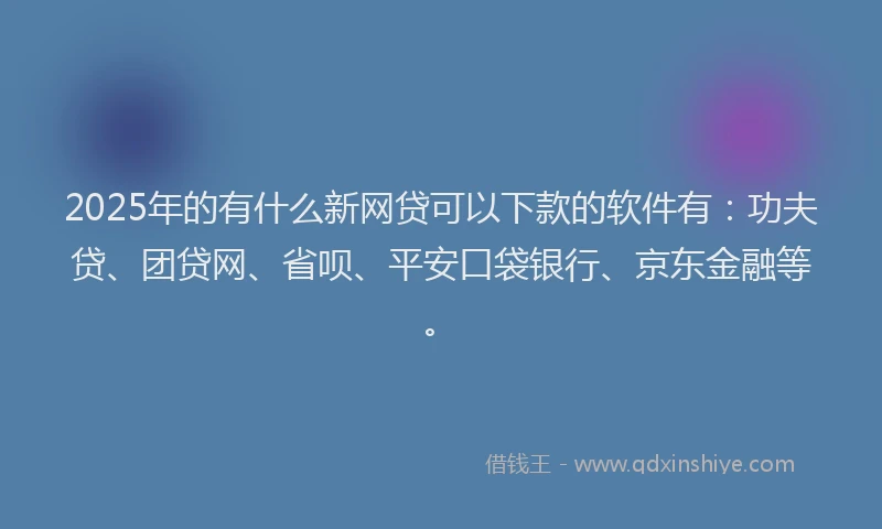 2025年的有什么新网贷可以下款的软件有：功夫贷、团贷网、省呗、平安口袋银行、京东金融等。