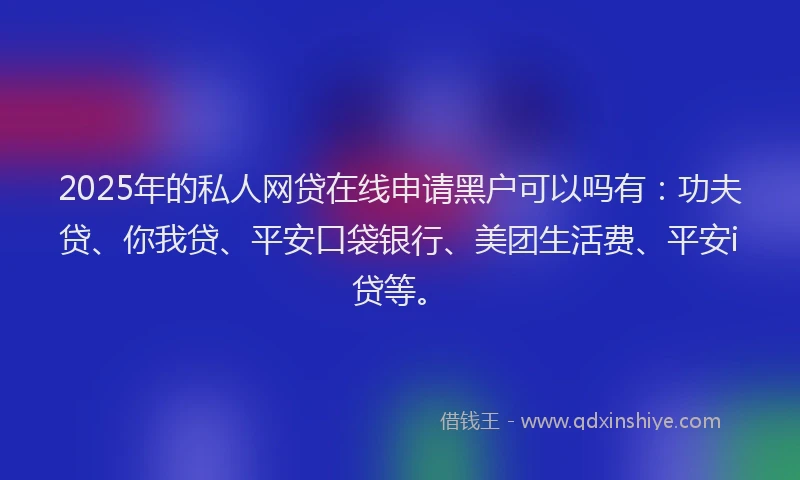 2025年的私人网贷在线申请黑户可以吗有：功夫贷、你我贷、平安口袋银行、美团生活费、平安i贷等。