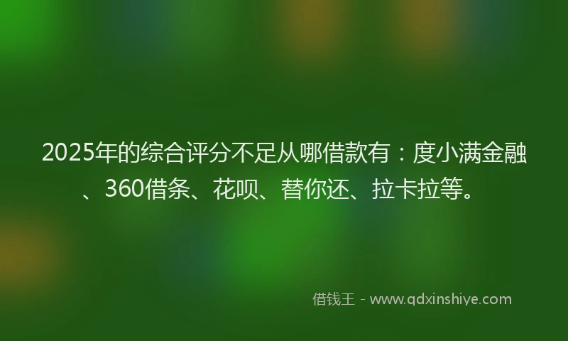 2025年的综合评分不足从哪借款有：度小满金融、360借条、花呗、替你还、拉卡拉等。