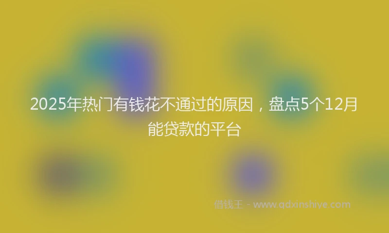 2025年热门有钱花不通过的原因，盘点5个12月能贷款的平台