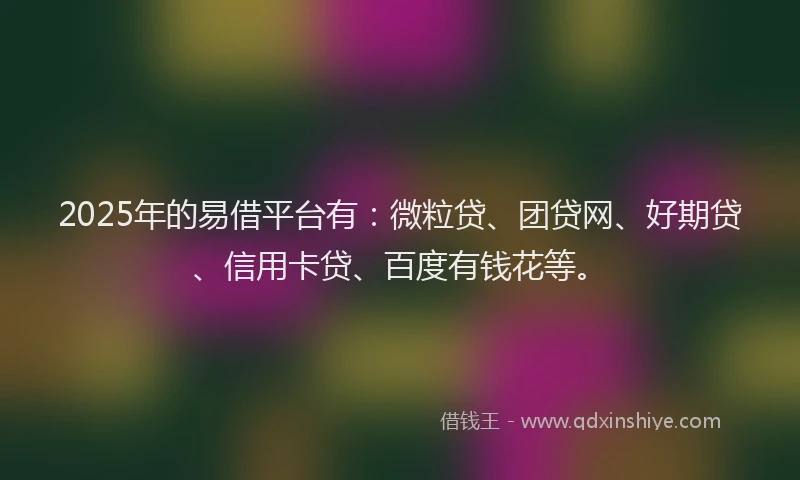 2025年的易借平台有：微粒贷、团贷网、好期贷、信用卡贷、百度有钱花等。