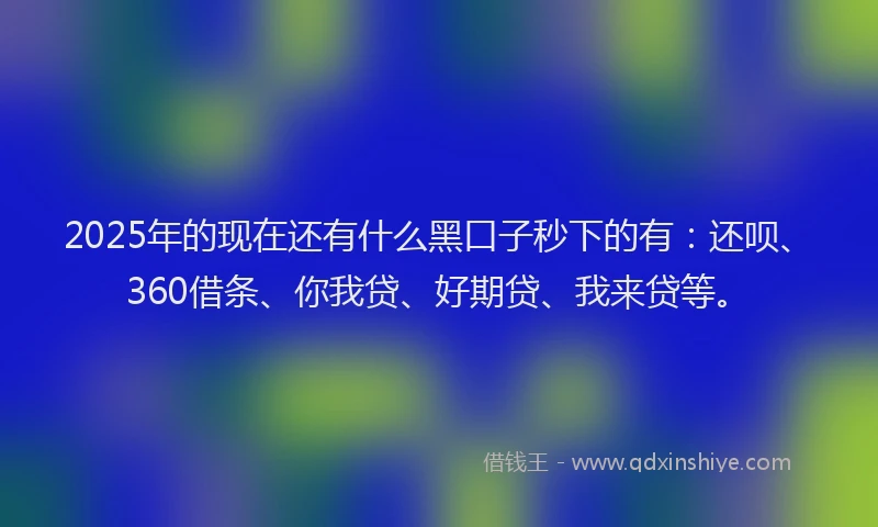 2025年的现在还有什么黑口子秒下的有：还呗、360借条、你我贷、好期贷、我来贷等。