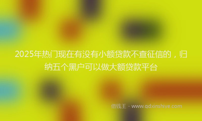 2025年热门现在有没有小额贷款不查征信的，归纳五个黑户可以做大额贷款平台