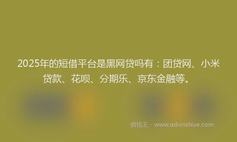 2025年的短借平台是黑网贷吗有：团贷网、小米贷款、花呗、分期乐、京东金融等。