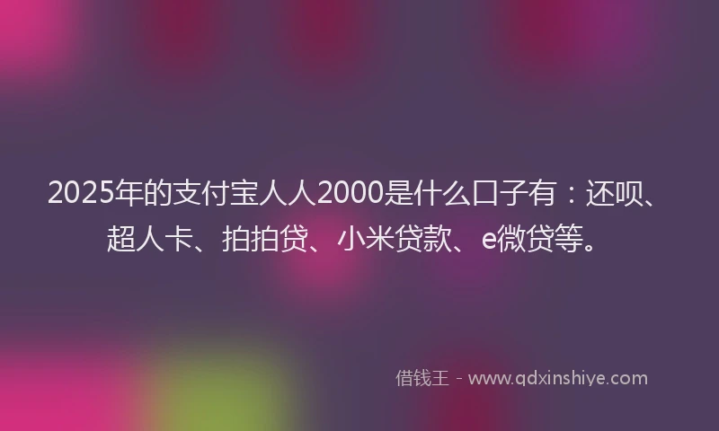 2025年的支付宝人人2000是什么口子有：还呗、超人卡、拍拍贷、小米贷款、e微贷等。