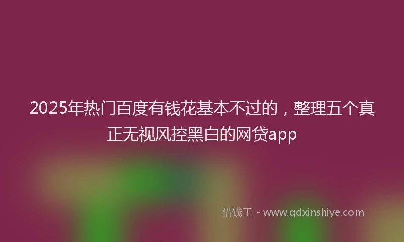 2025年热门百度有钱花基本不过的，整理五个真正无视风控黑白的网贷app