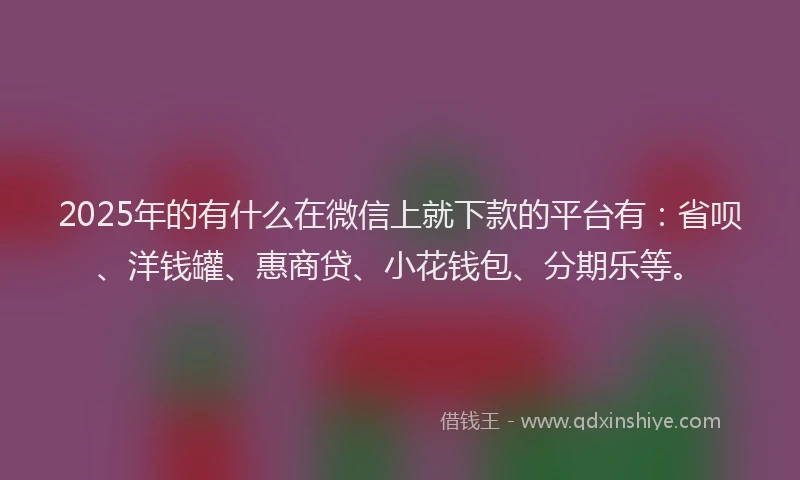 2025年的有什么在微信上就下款的平台有：省呗、洋钱罐、惠商贷、小花钱包、分期乐等。
