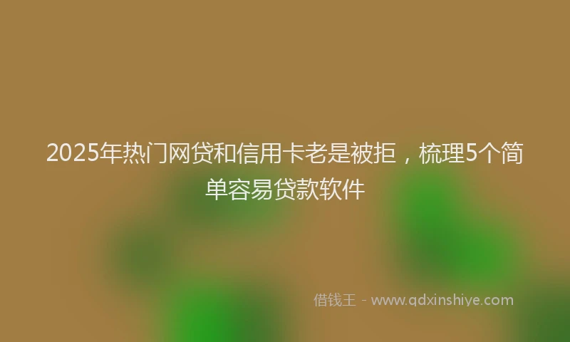 2025年热门网贷和信用卡老是被拒，梳理5个简单容易贷款软件
