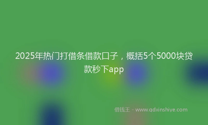 2025年热门打借条借款口子，概括5个5000块贷款秒下app