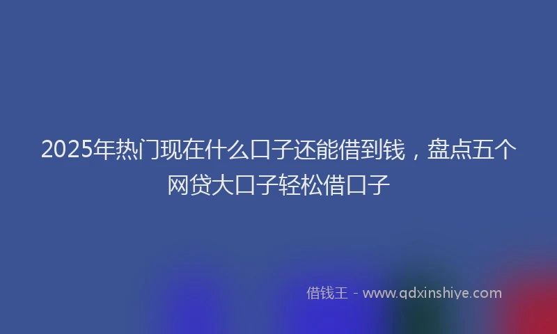 2025年热门现在什么口子还能借到钱，盘点五个网贷大口子轻松借口子