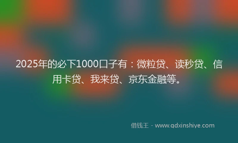 2025年的必下1000口子有：微粒贷、读秒贷、信用卡贷、我来贷、京东金融等。