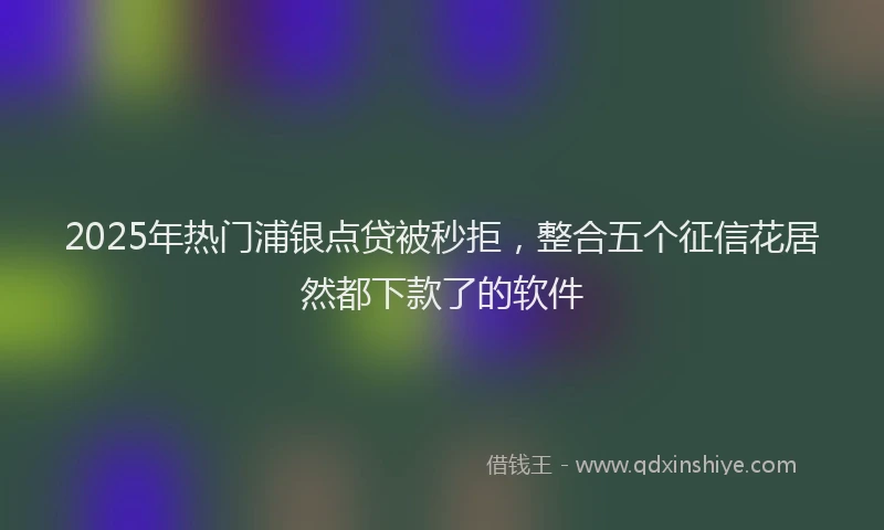 2025年热门浦银点贷被秒拒，整合五个征信花居然都下款了的软件